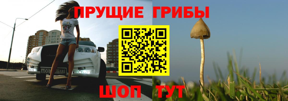 Алапаевск  Псилоцибиновые грибы Cubensis  Вход с VPN  Псилоцибиновые грибы Cubensis 